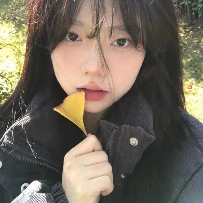 金药局的女儿们